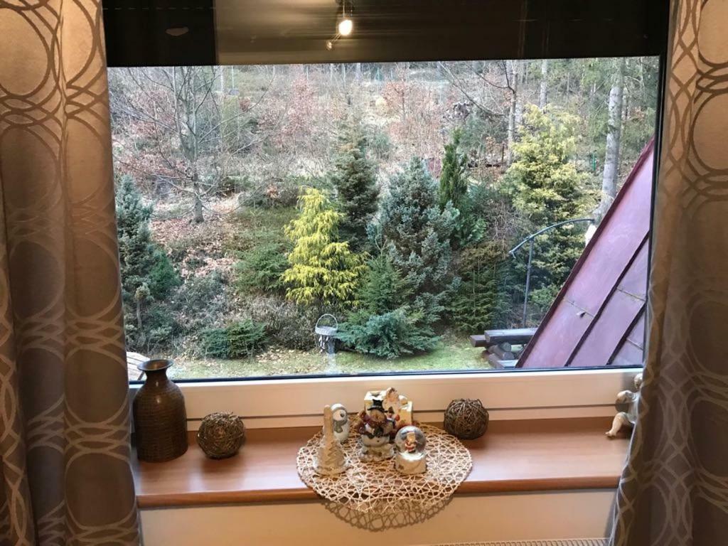 Lesny Dwor Hotel Wisła Kültér fotó