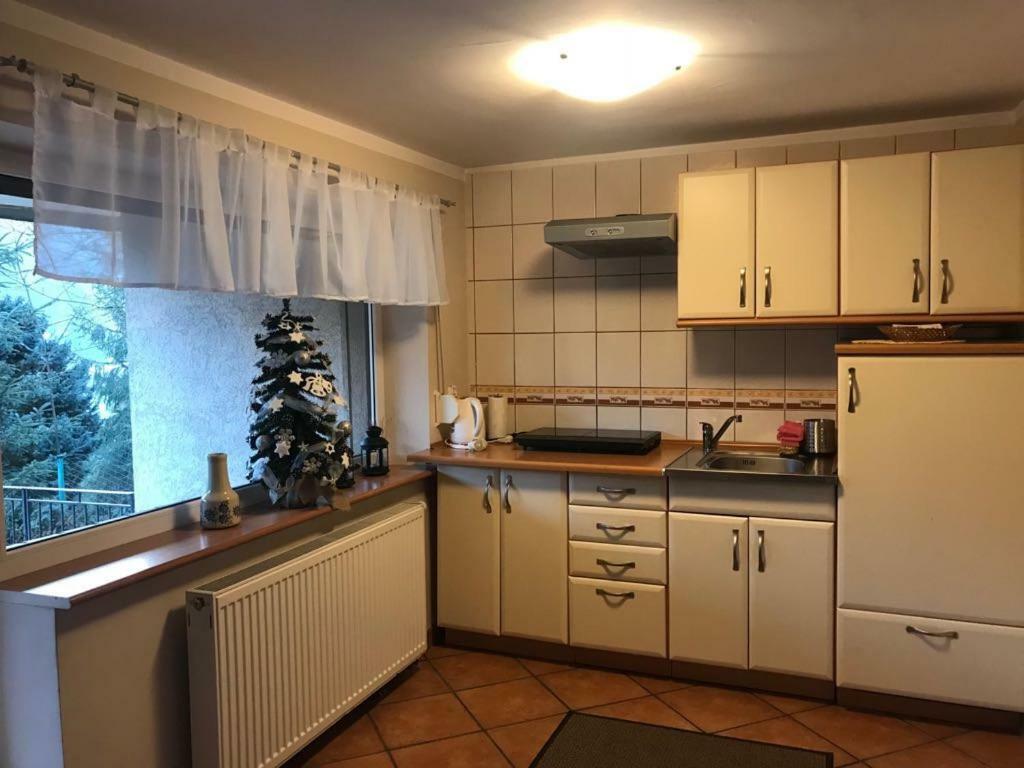 Lesny Dwor Hotel Wisła Kültér fotó